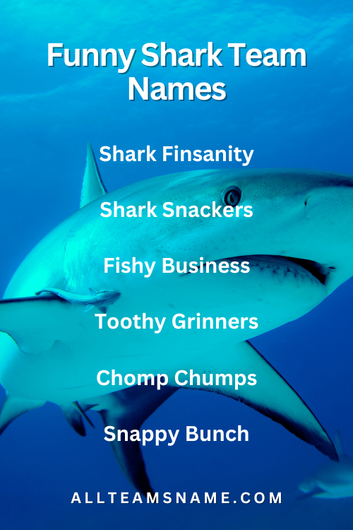 Funny Shark Team Names