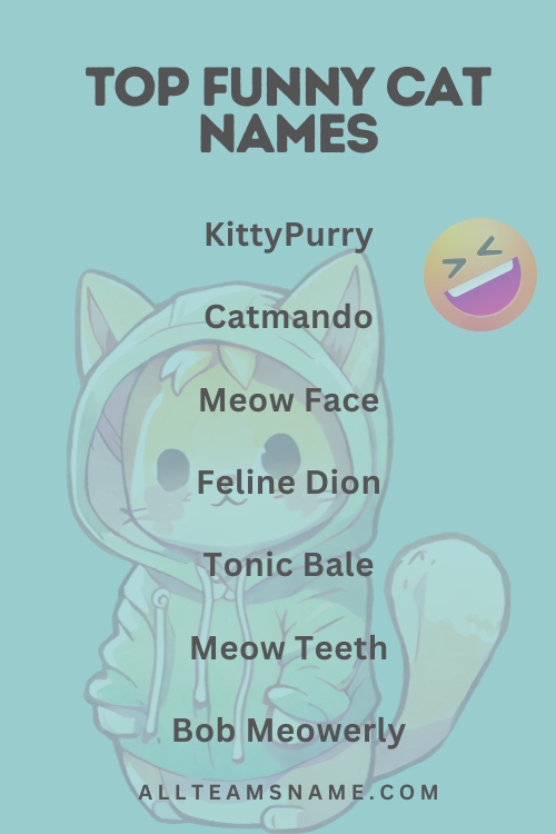 Top Funny Cat Names