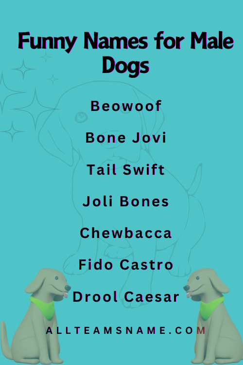 Funny Names for Male Dogs