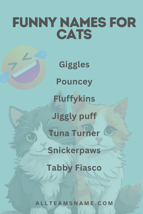 Funny Names for Cats