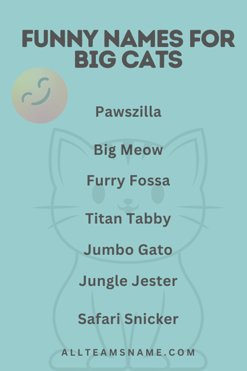 Funny Names for Big Cats