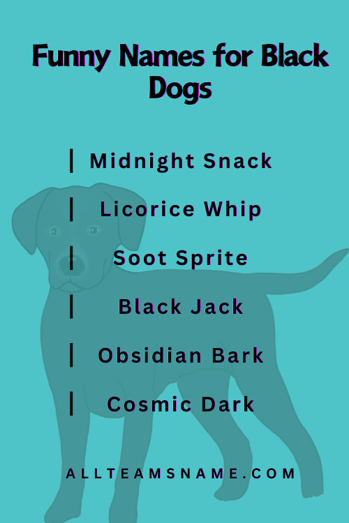 Funny Names for Black Dogs