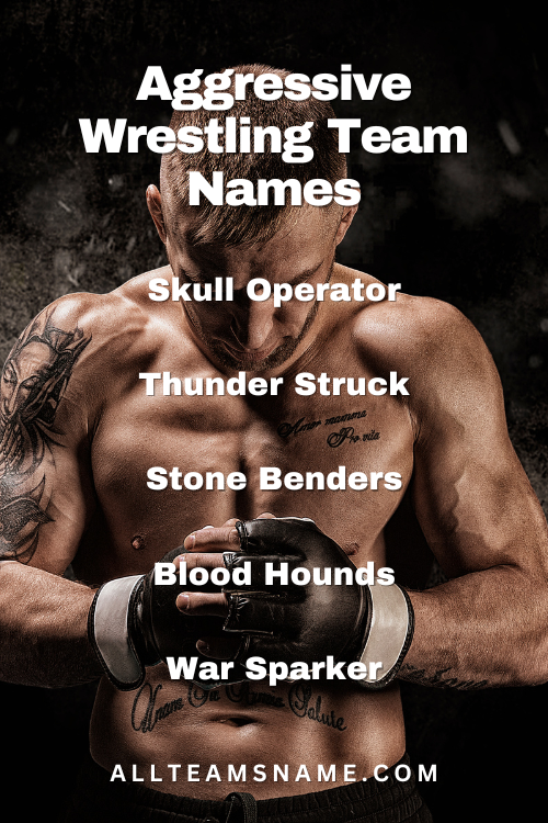 Aggressive Wrestling Team Names