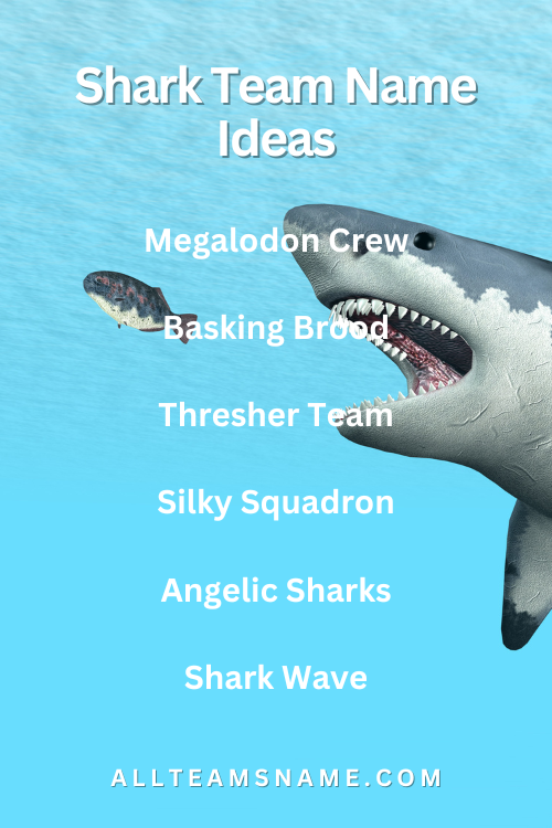 Shark Team Name Ideas