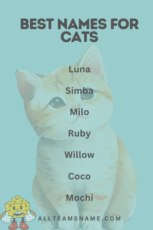 Best Names for Cats