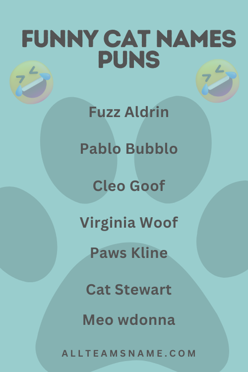 Funny Cat Names Puns