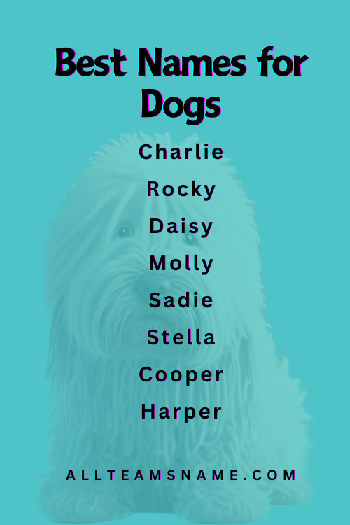 Best Names for Dogs