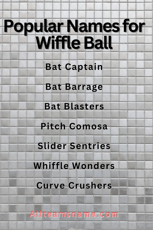 Popular Names for Wiffle Ball