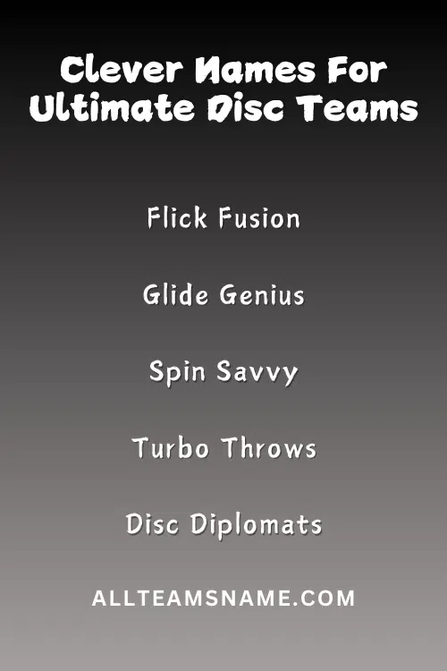 Clever Names For Ultimate Disc Teams