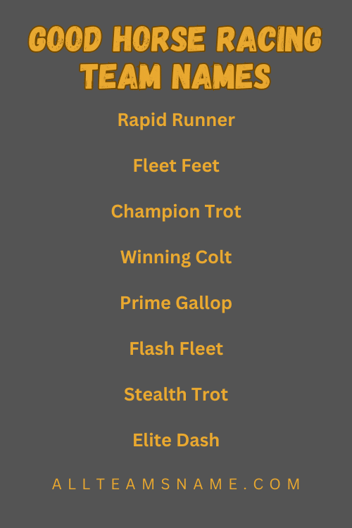 Good Horse Racing Team Names