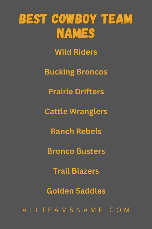 Best Cowboy Team Names