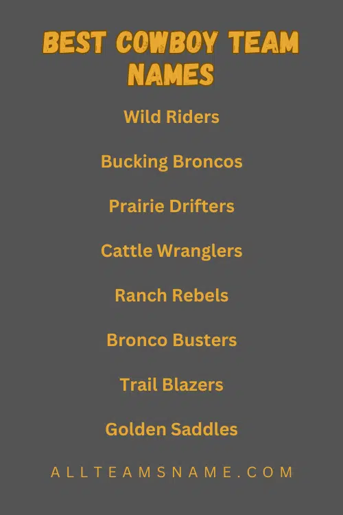 Best Cowboy Team Names
